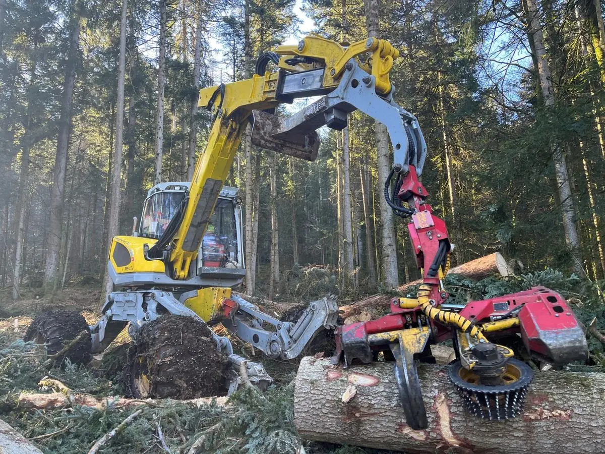 Menzi Muck cu cap harvester în pădure